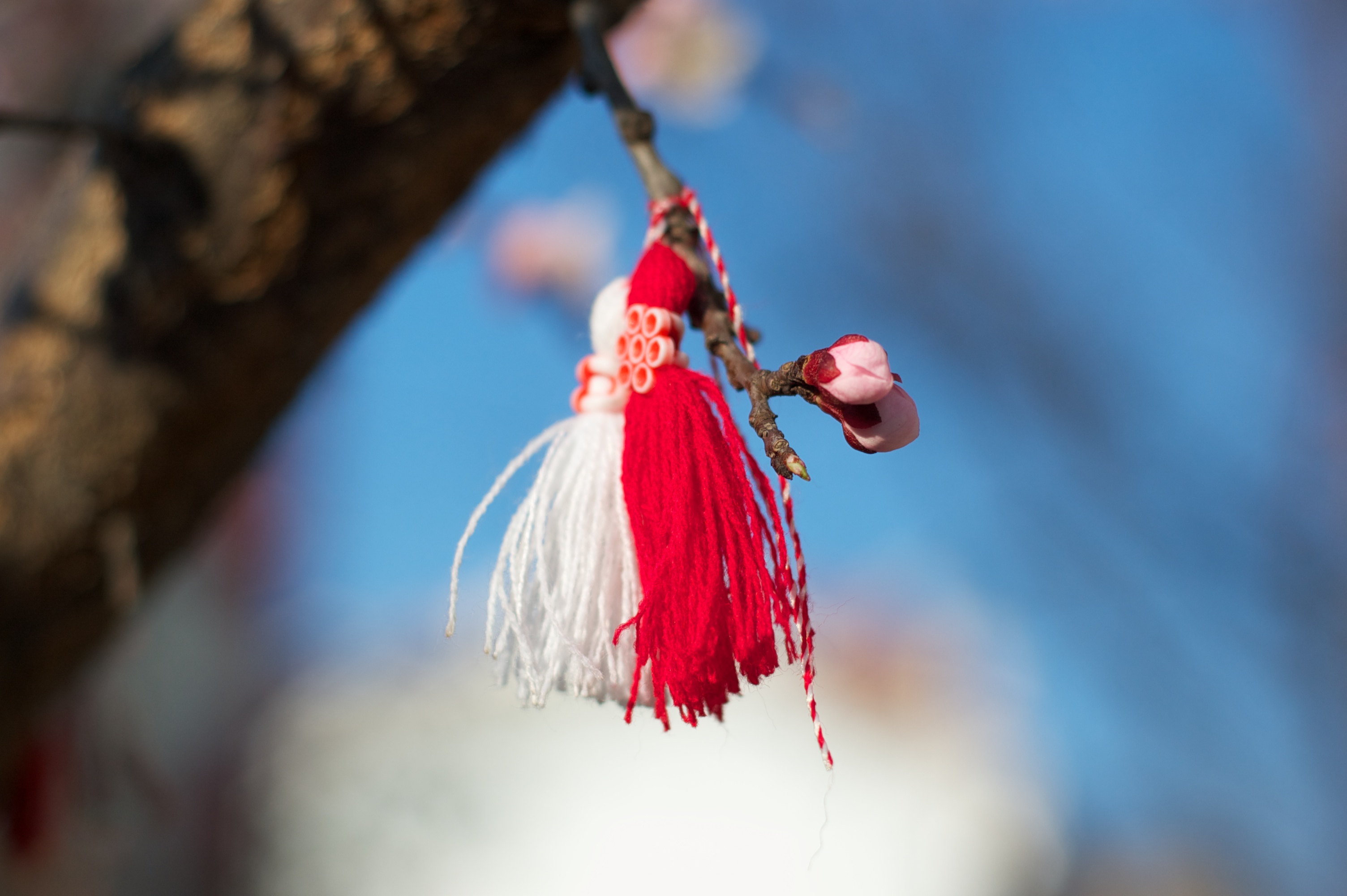 Beautiful martenitsa on a tree | Lucky Bansko