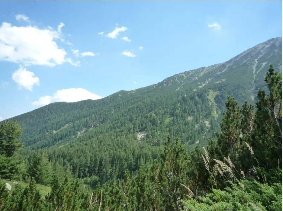 панорама към планина
