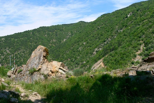 Резерват Тисата в Пирин планина