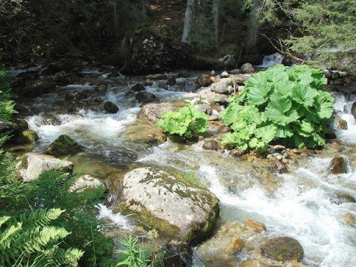 The Bistritsa River in the Pirin Mountains