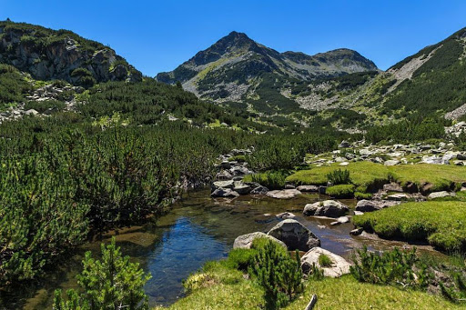 Piscuri în munții Pirin