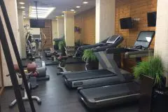 Fitness