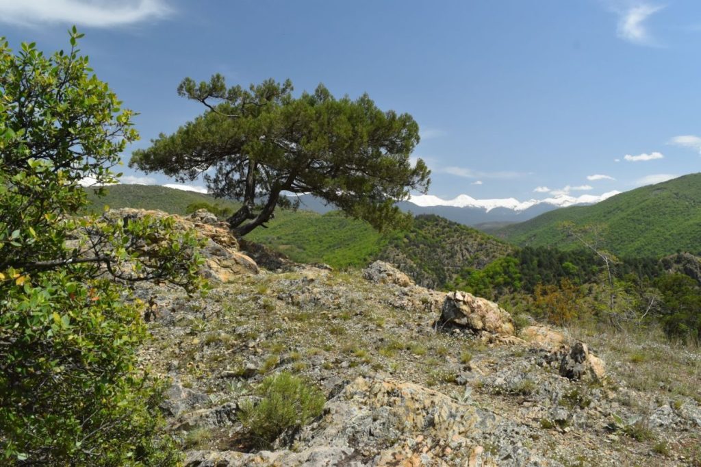 резерват Тисата